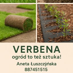 Verbena - Wycinki Stargard