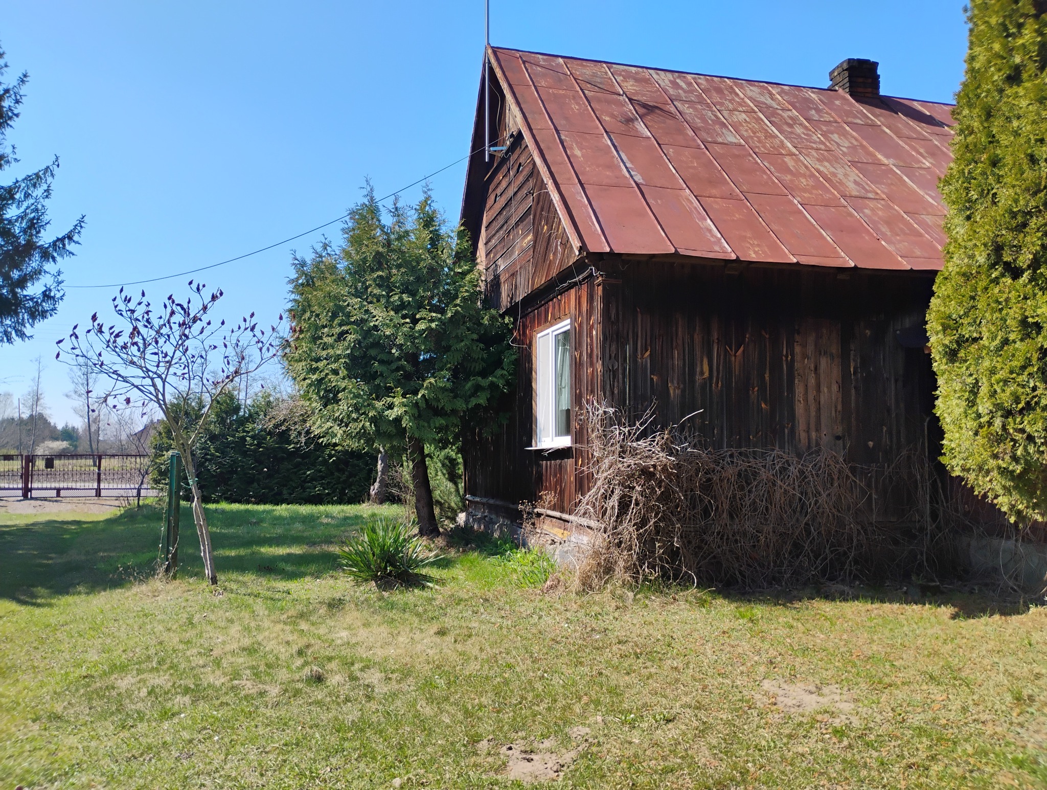 Rustykalny, drewniany dom z czerwoną, rdzawą blachą na dachu, otoczony zielenią i drzewami w słoneczny dzień. Widoczny fragment elewacji i trawnika.