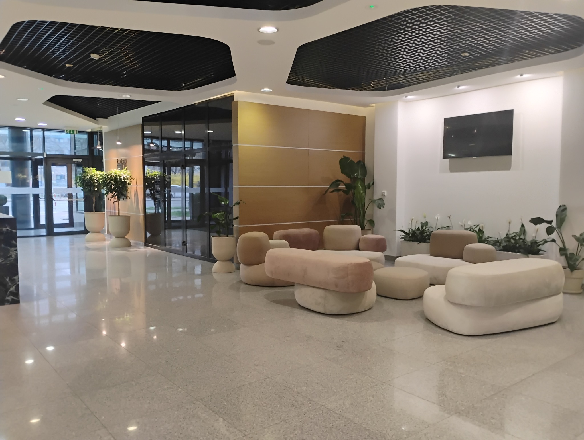 Jasne, przestronne lobby z modernistycznymi meblami wypoczynkowymi i roślinami w donicach. Widok na przeszklone wejście i minimalistyczny design wnętrza.