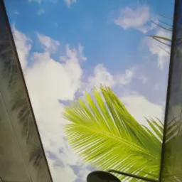 Sufit z motywem nieba i palmy w łazience w Białymstoku. Nad kabiną prysznicową widoczny relaksujący widok. Nowoczesny design wnętrza.