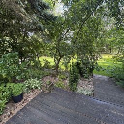 Zakładanie ogrodów Nowy Dwór Mazowiecki 1