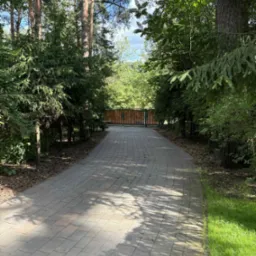 Ułożona kostka brukowa tworzy ścieżkę w ogrodzie, prowadzącą do drewnianej bramy. Po bokach rosną drzewa iglaste i trawa, tworząc naturalny tunel.