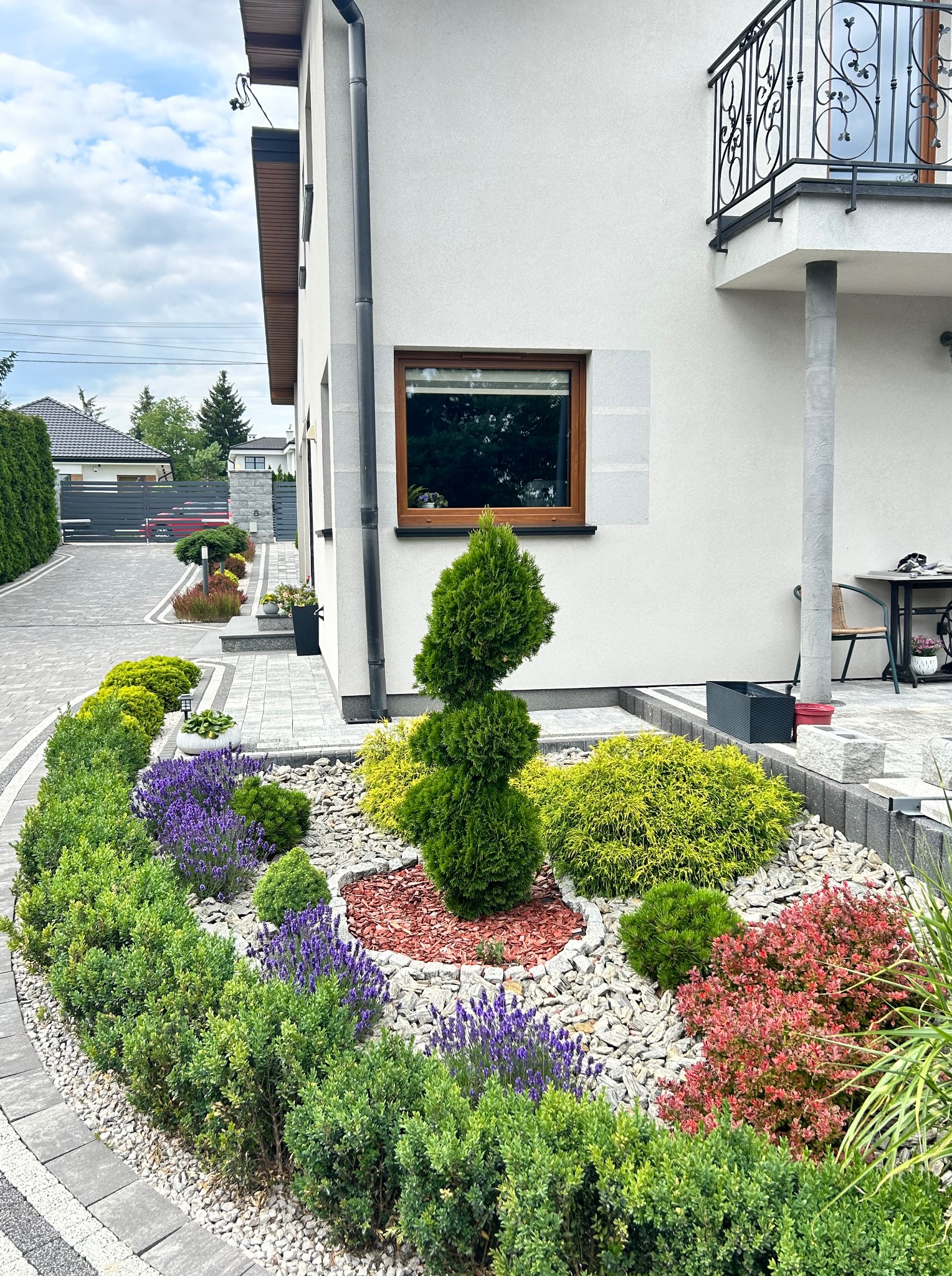 Ogród przy domu z formowanymi krzewami, lawendą i korą. Ścieżka z kostki prowadzi do furtki. Na ścianie budynku okno z brązową ramą i balkon z ozdobną balustradą.