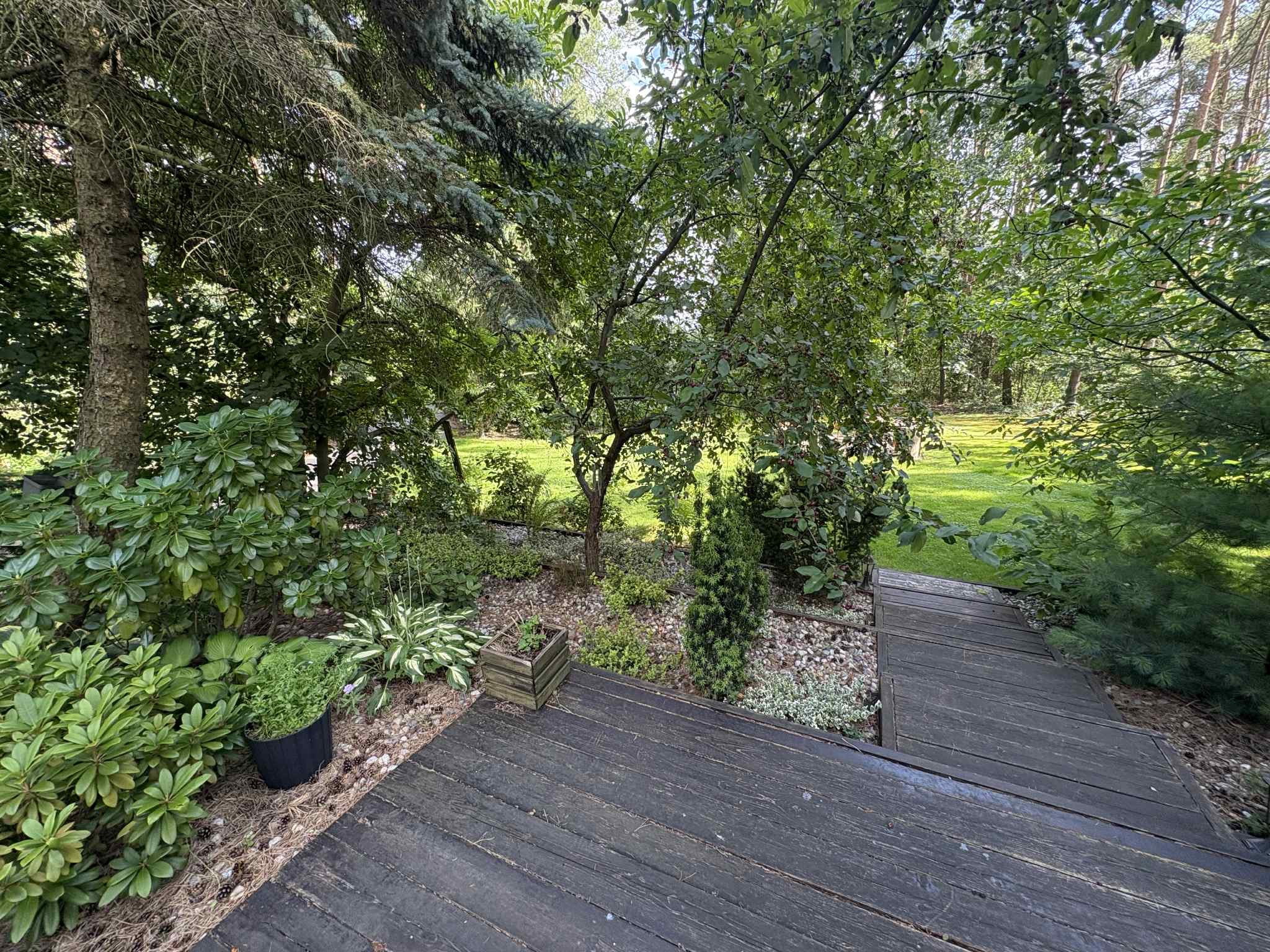 Urokliwy ogród z drewnianym tarasem, różnorodną roślinnością i dekoracyjnymi kamykami, tworzący harmonijną przestrzeń relaksu na świeżym powietrzu.