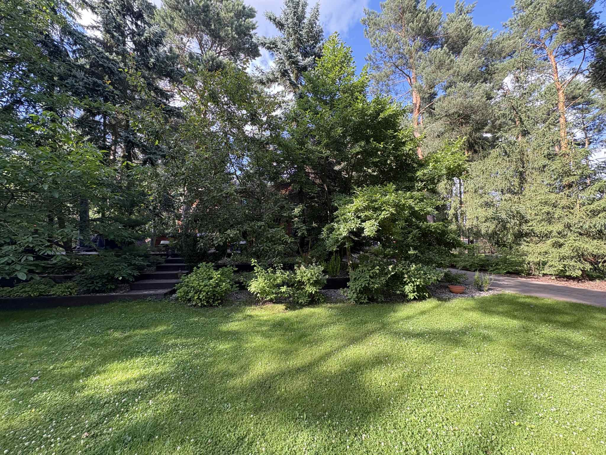 Zadbany ogród z równo przystrzyżonym trawnikiem, różnorodnymi drzewami i krzewami. Widoczne schody i fragment podjazdu. Słoneczny dzień, błękitne niebo.