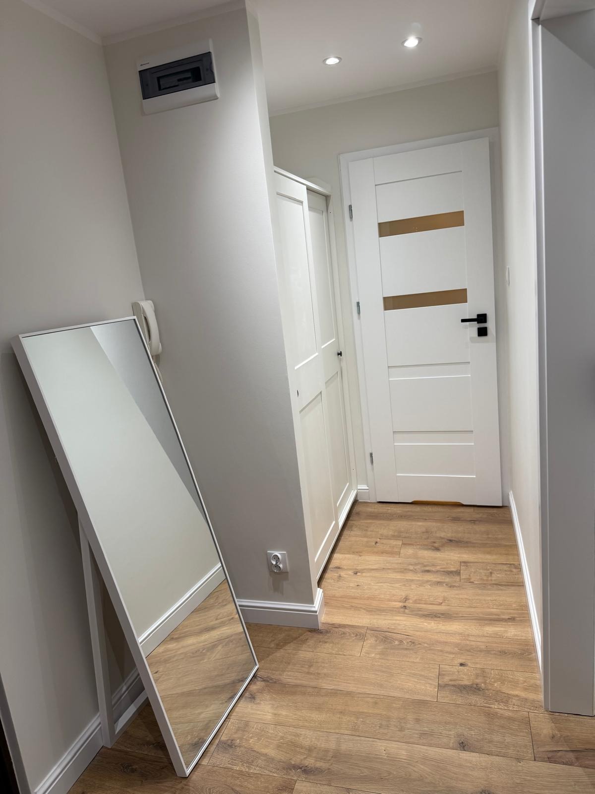 Białe drzwi z poziomymi przeszkleniami, drewniana podłoga, lustro oprawione w białą ramę i biała szafa w przedpokoju po remoncie. Nowoczesne wykończenie.