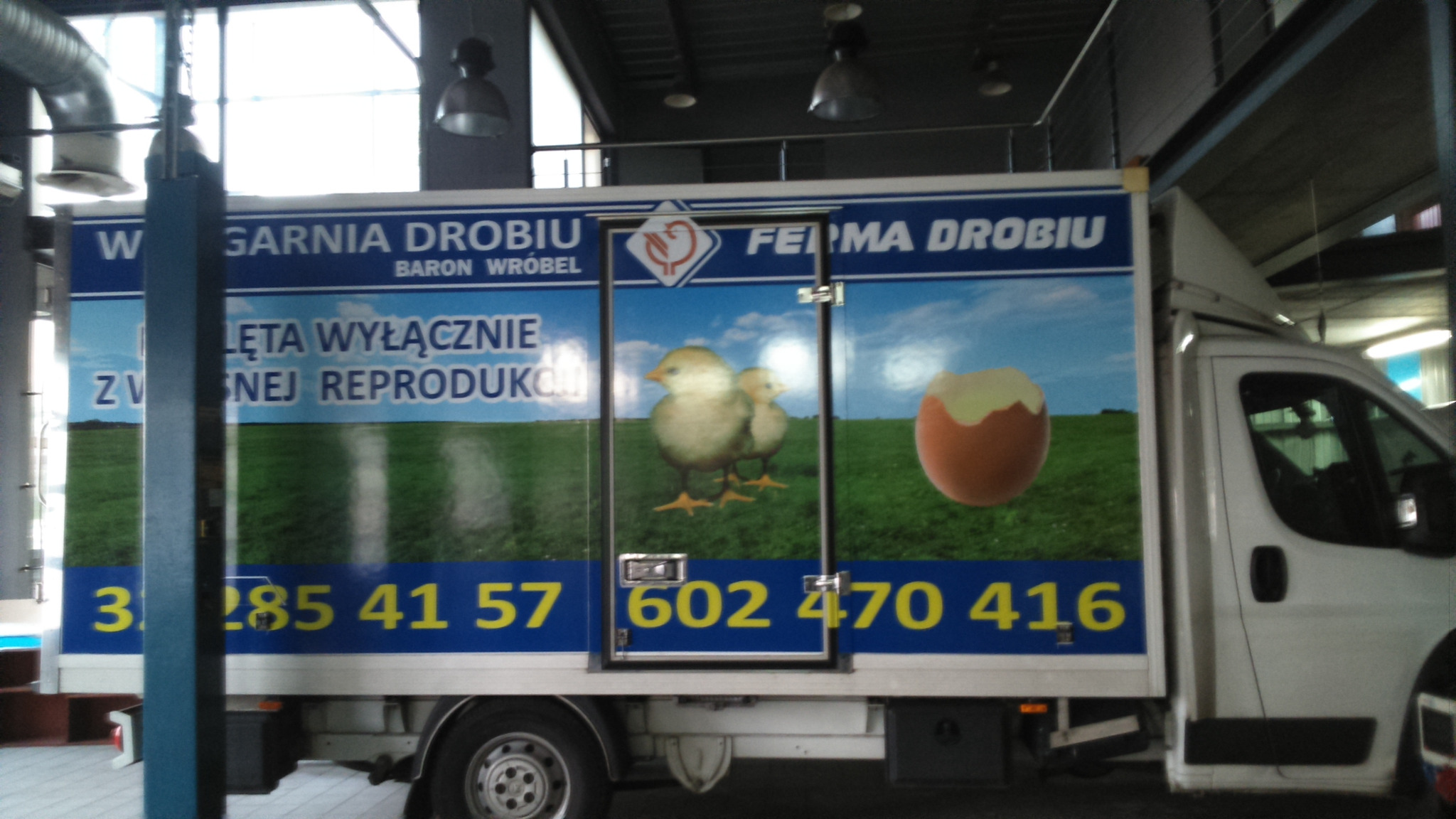 Oklejony samochód dostawczy z grafiką kurczaków i hasłem 'Lęta wyłącznie z własnej reprodukcji'. Żółte numery telefonów na niebieskim tle. Widok z boku, wnętrze warsztatu.