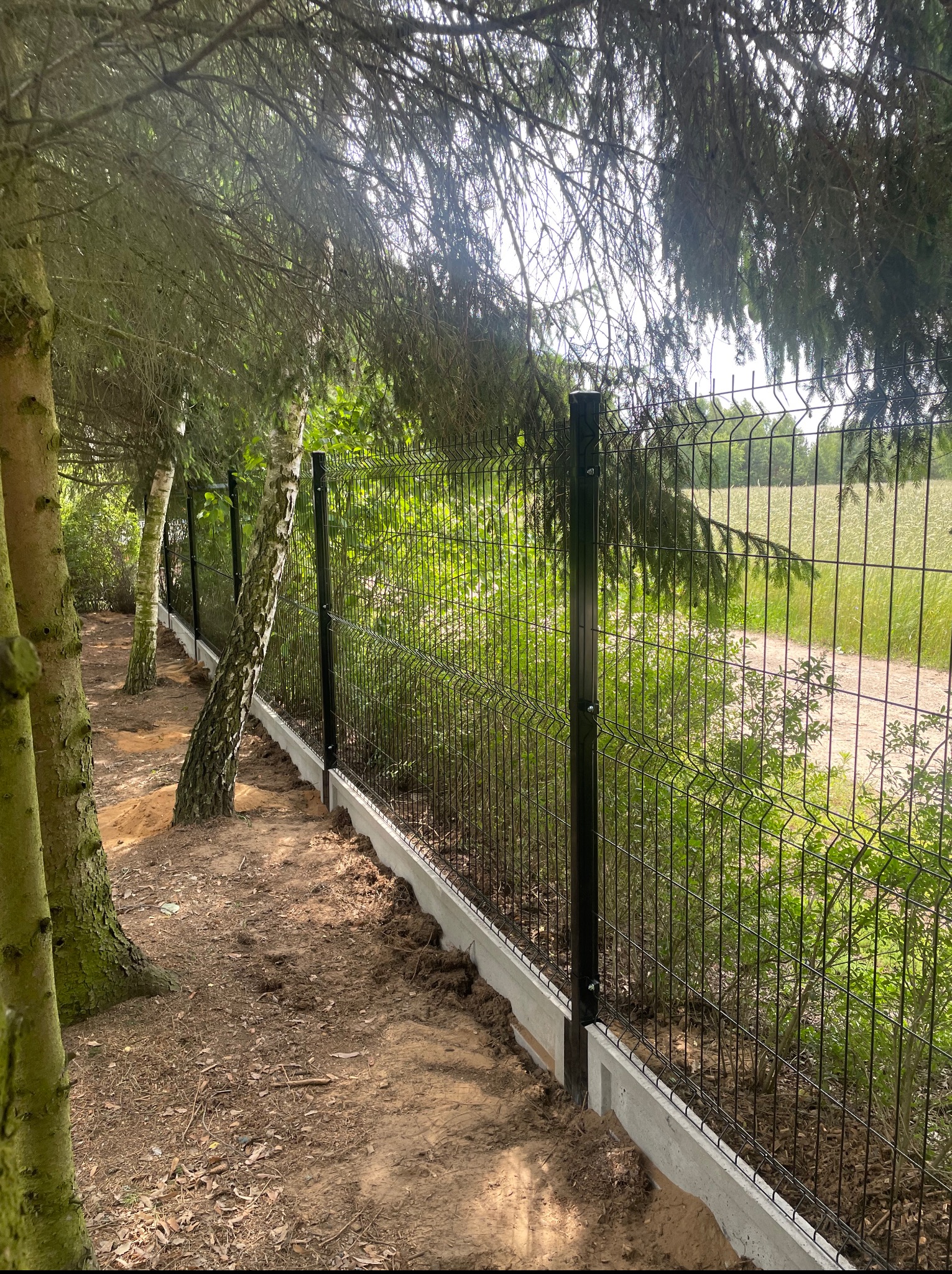 Nowoczesne ogrodzenie panelowe z podmurówką betonową, zamontowane wzdłuż leśnej ścieżki, z widocznymi drzewami i polami w tle. Czarny metal kontrastuje z zielenią.