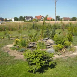 Ogród z małym skalnikiem i oczkiem wodnym otoczonym roślinnością, z widocznymi domami w tle i zraszaczem nawadniającym trawnik.