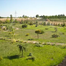 Studnie - kopanie, pogłebianie, wiercenie, nawodnienia, szkółka