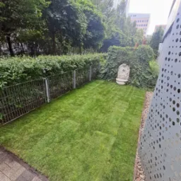 Zadbany trawnik w miejskim ogrodzie, otoczony niskim żywopłotem i nowoczesnym metalowym panelem z otworami. W tle budynki biurowe i ozdobna fontanna.