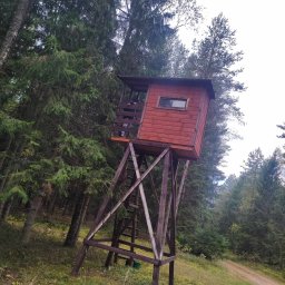 Malowanie elewacji Płaska 1