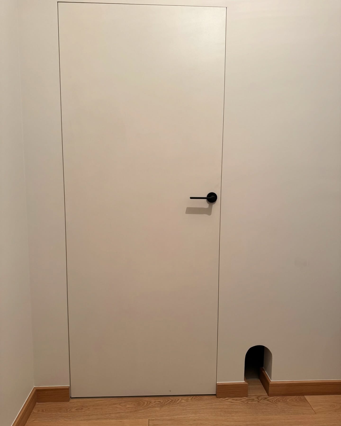 Realizacja - drzwi ukryte PORTA HIDE + drzwi dla MYSZY