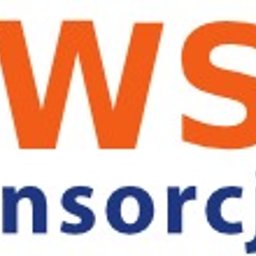 WS SPÓŁKA Z OGRANICZONĄ ODPOWIEDZIALNOŚCIĄ - Wylewanie Fundamentów Siemyśl