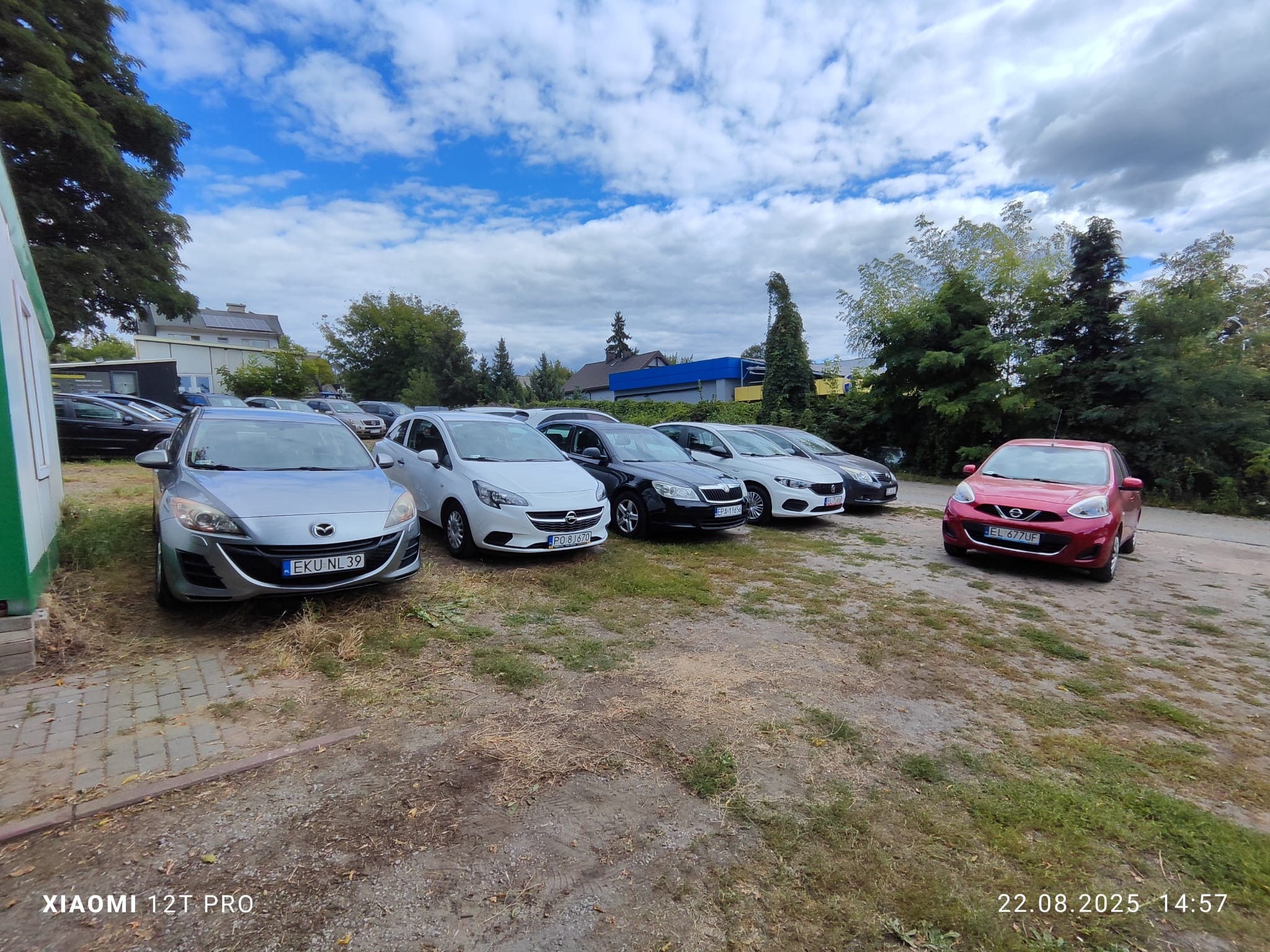 Rząd używanych samochodów różnych marek i kolorów, zaparkowanych na placu z widocznym niebem i zielenią w tle. Pierwszy plan: srebrny Mazda 3.