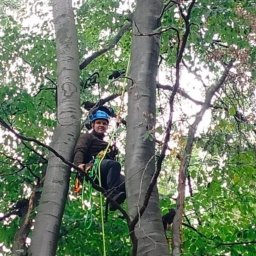 Bartosz Kozaczkiewicz - Prace Ogrodnicze Miękinia