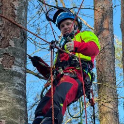 Usługi w ogrodzie Środa Śląska