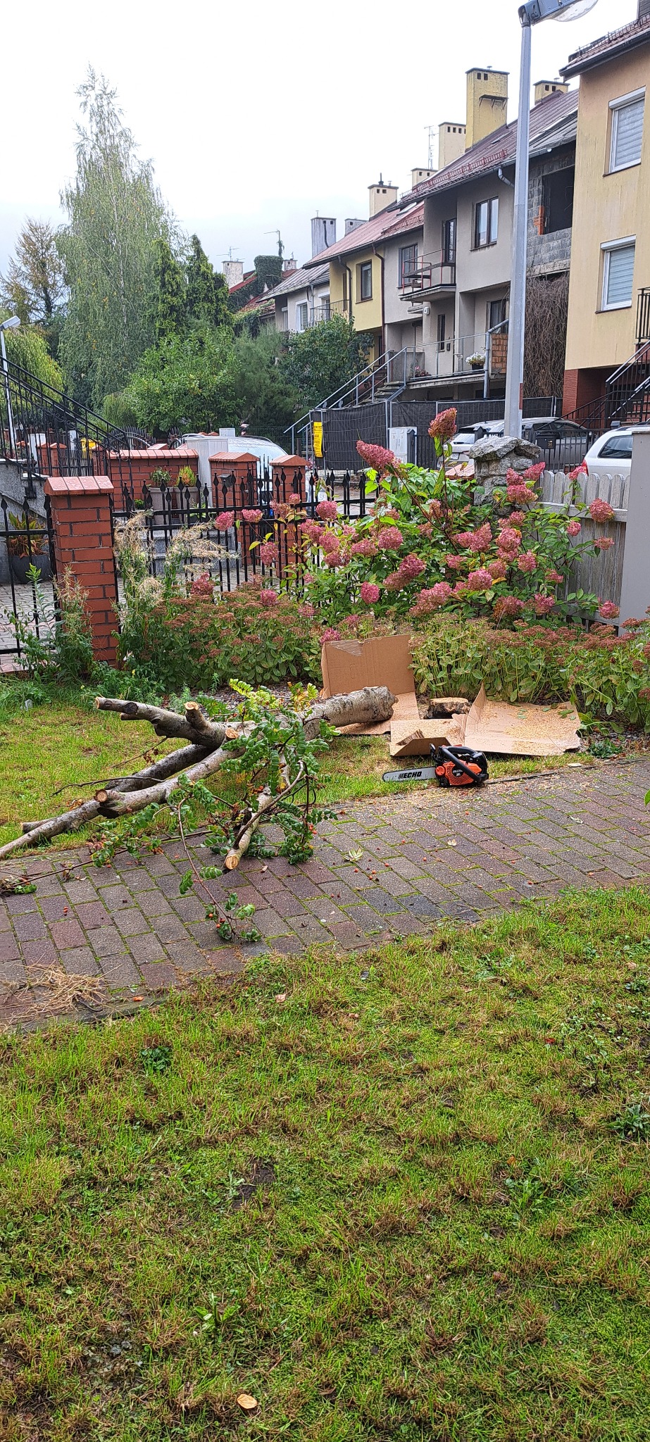 Ścięte gałęzie drzewa leżą na chodniku obok piły łańcuchowej i kartonów. W tle ogród z kwitnącymi hortensjami i zabudowa mieszkalna.