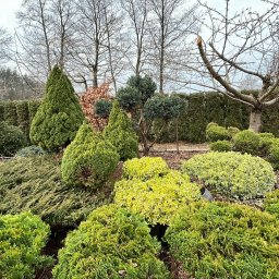 Zakładanie ogrodów Sianów 2