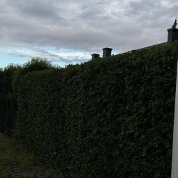 Koszenie trawy Wrocław 1