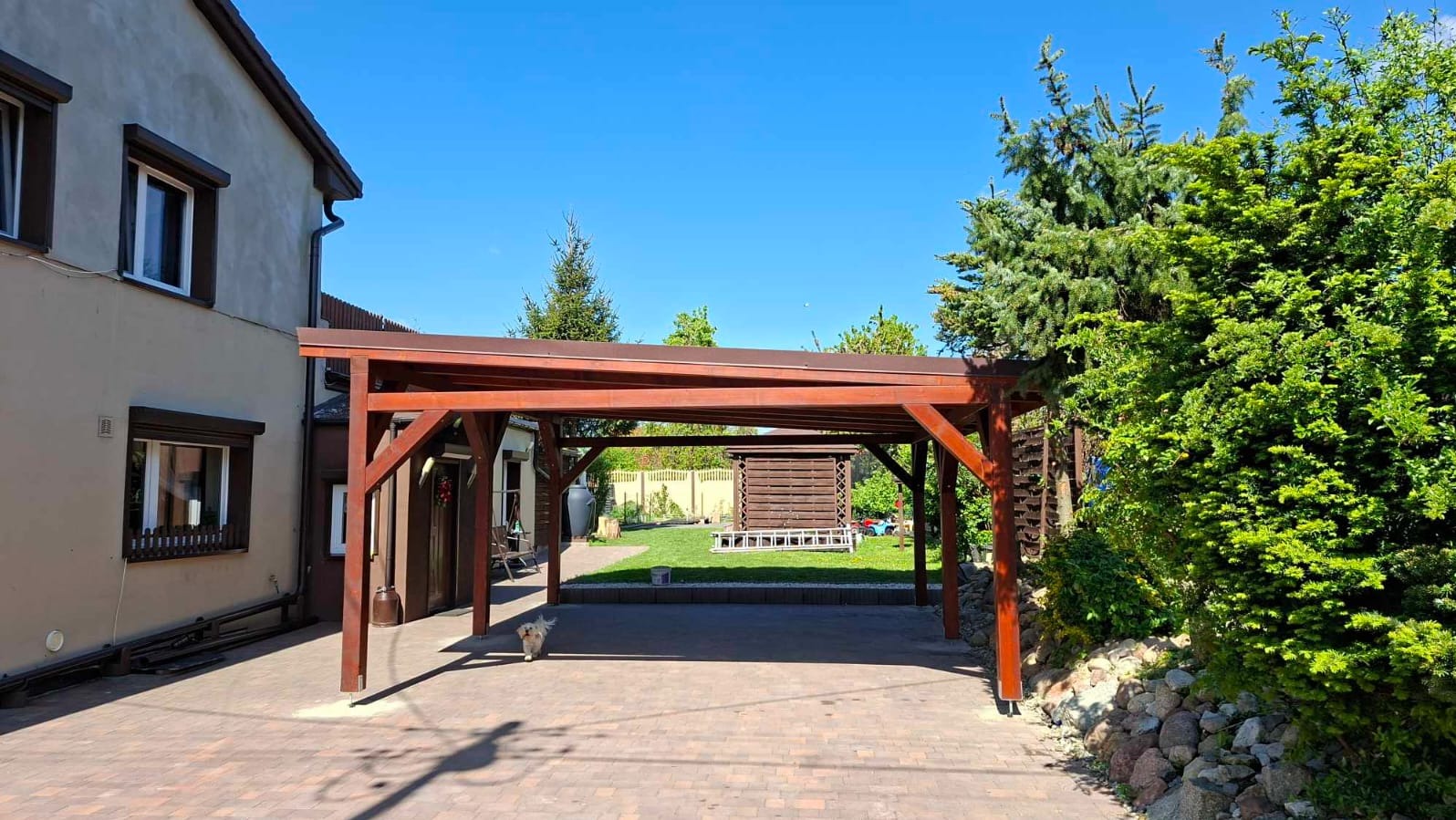 Drewniana pergola z brązowym dachem, widok z zewnątrz na ogród z domkiem narzędziowym. Mały piesek na pierwszym planie. Słoneczny dzień.