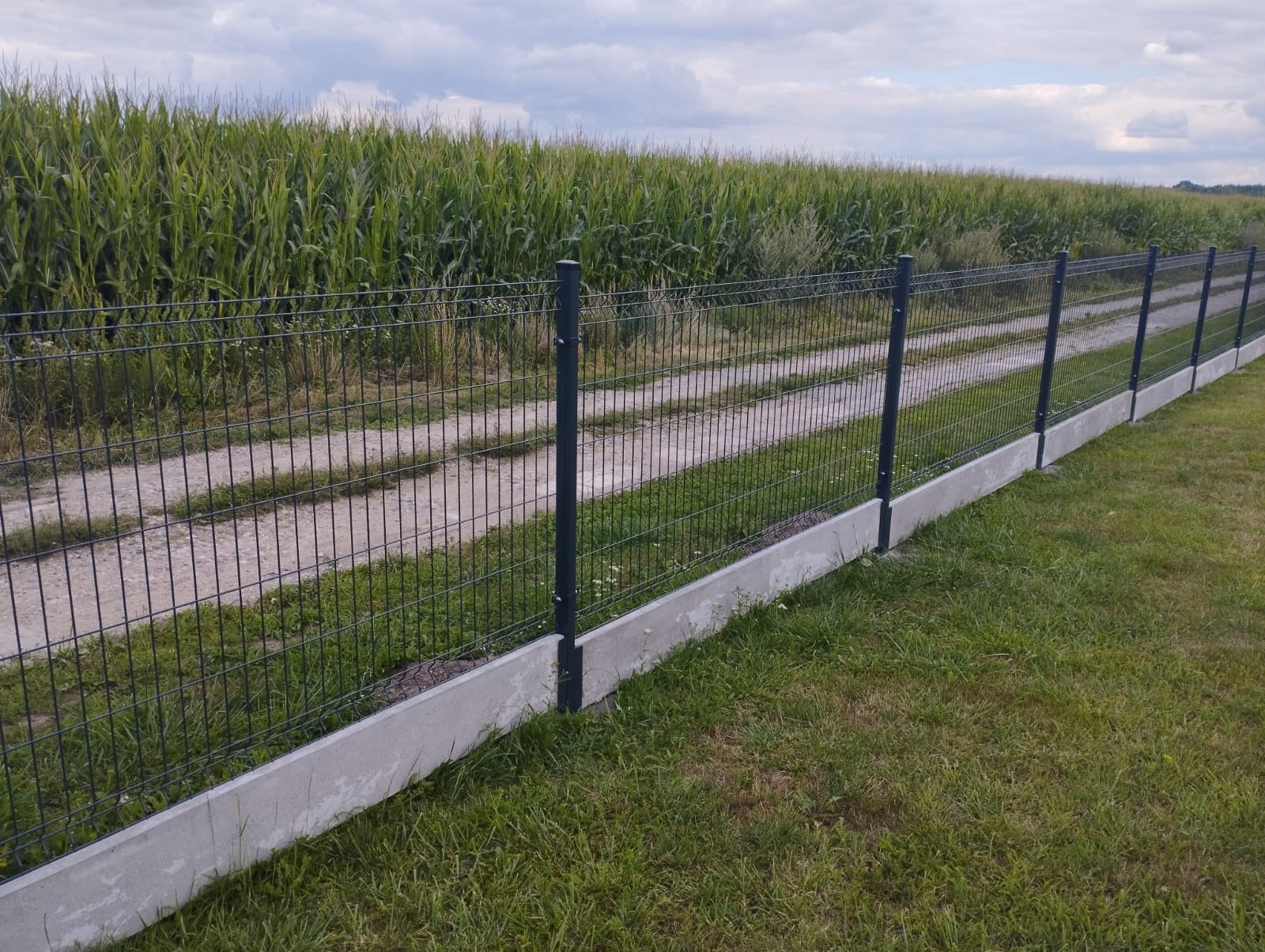 Panelowe ogrodzenie z podmurówką betonową, widok z perspektywy trawnika, w tle pole kukurydzy i polna droga. Słupki w kolorze grafitowym.