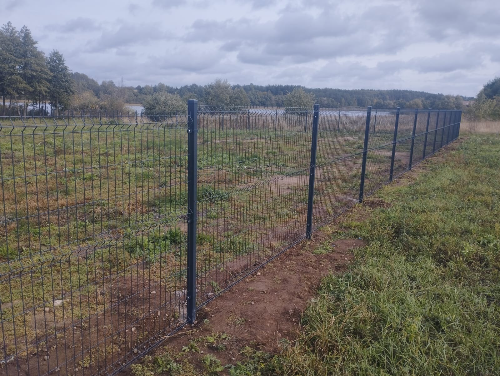 Szary panelowy płot na nierównym terenie z widokiem na jezioro i las w tle. Słupki ogrodzeniowe stabilnie zamocowane w ziemi.