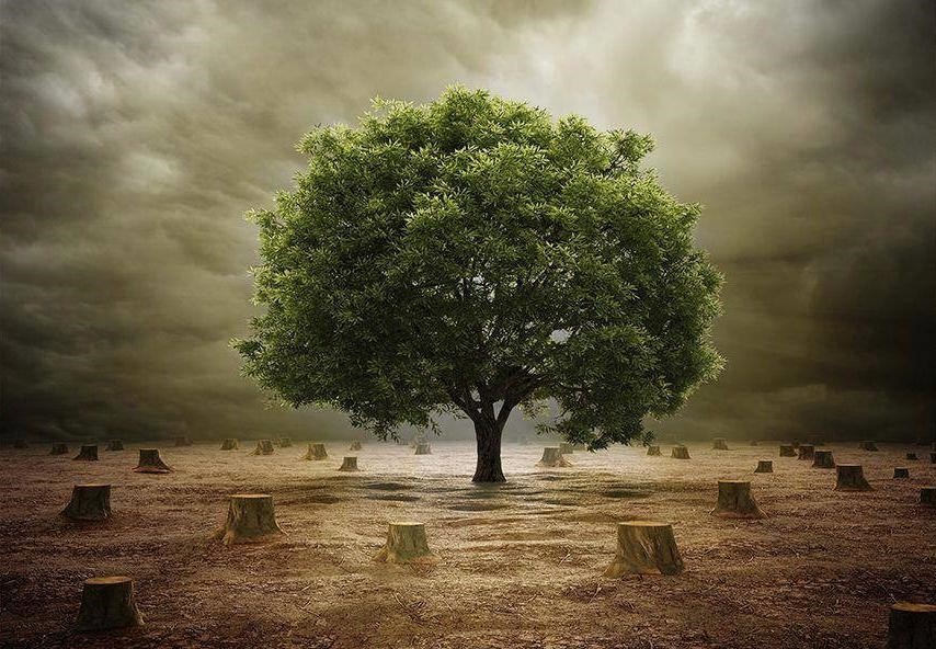 Gabinet Psychoterapii 24