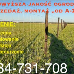 SiataNaLata.pl - Idealna Siatka Ogrodzeniowa Nowy Tomyśl