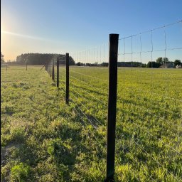 SiataNaLata.pl - Długa linia siatki ogrodzeniowej z drewnianymi słupkami, rozciągająca się przez zielone pole w słoneczny dzień. Widok z perspektywy ziemi, z lasem w tle.