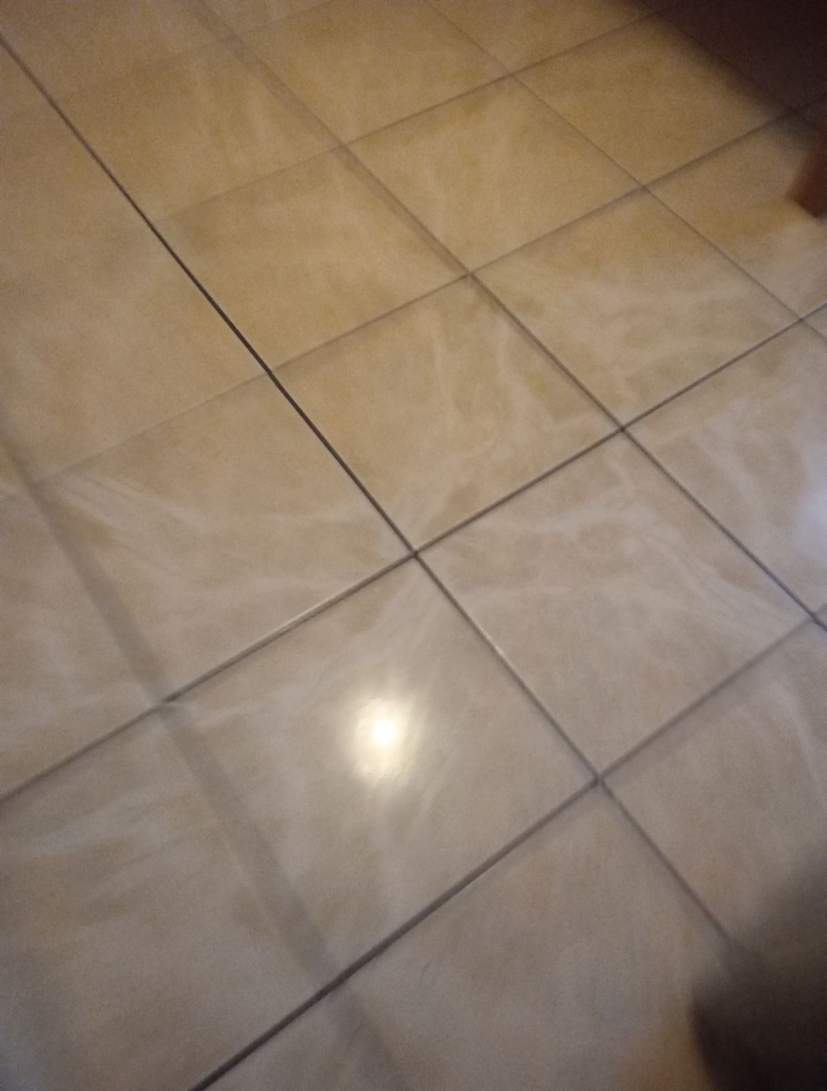 Błyszcząca podłoga z płytek w beżowym odcieniu, z widocznymi fugami i refleksami światła, ukazująca czystą powierzchnię po sprzątaniu.