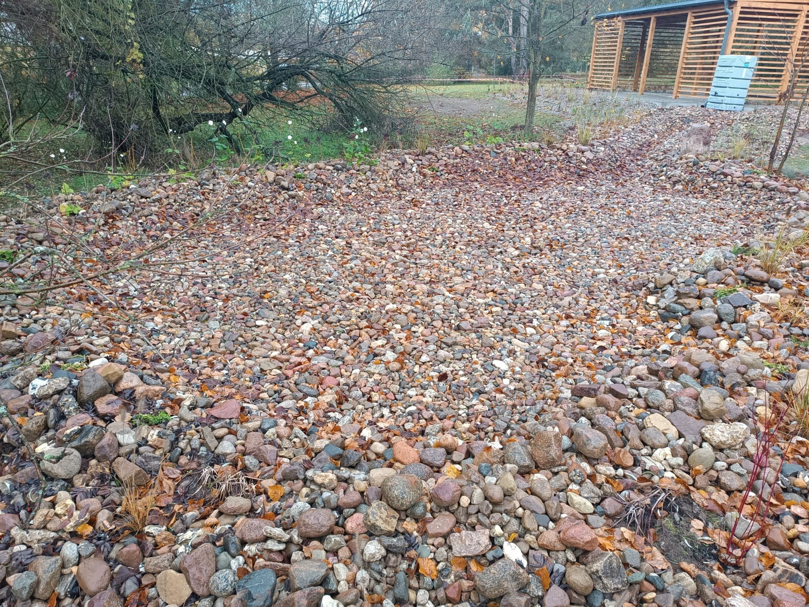 Obszar wysypany drobnymi kamieniami, z widocznymi liśćmi i gałązkami, w tle drzewa i drewniana konstrukcja. Ujęcie z niskiej perspektywy, pochmurna pogoda.
