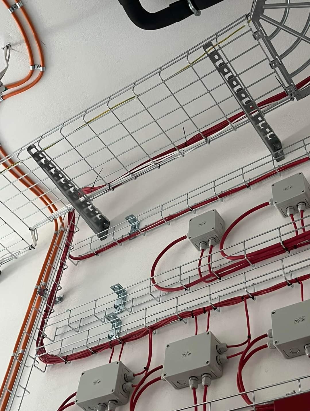 Instalacja kablowa: koryta siatkowe z przewodami w kolorze czerwonym i pomarańczowym, puszki instalacyjne na białej ścianie. Widok z dołu, oświetlenie naturalne.