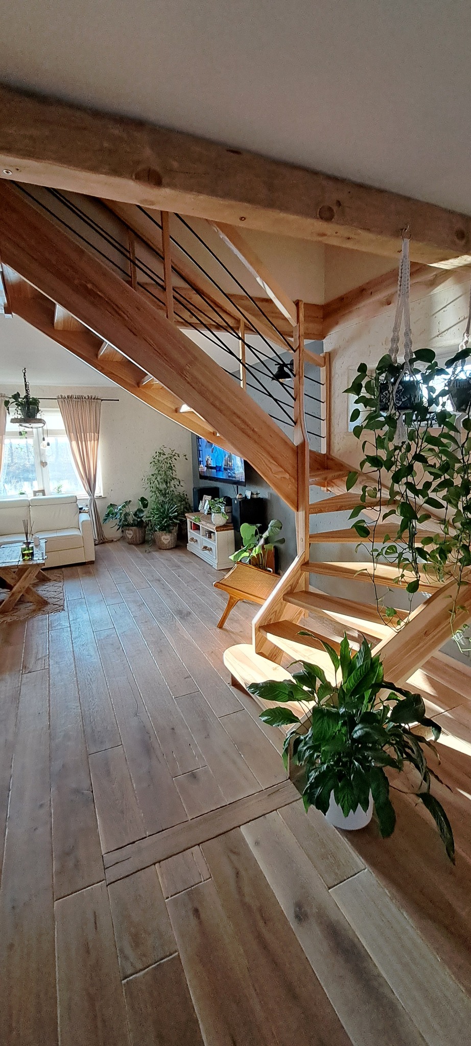 Jasne drewniane schody z czarnymi metalowymi barierkami w przestronnym salonie z drewnianą podłogą i roślinami doniczkowymi. Naturalne oświetlenie.