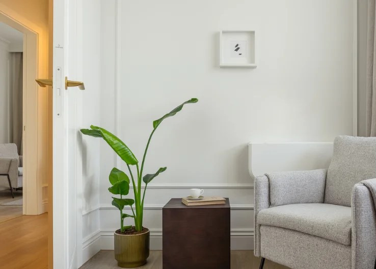 Jasne wnętrze z rośliną strelicją w doniczce obok ciemnego stolika z książką i filiżanką, fotel w tle, minimalistyczny obrazek na ścianie.