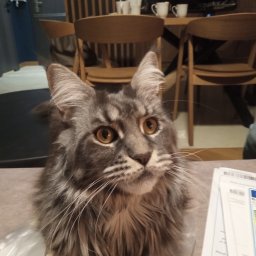 Klimatyzacja do domu Bielsko-Biała 3