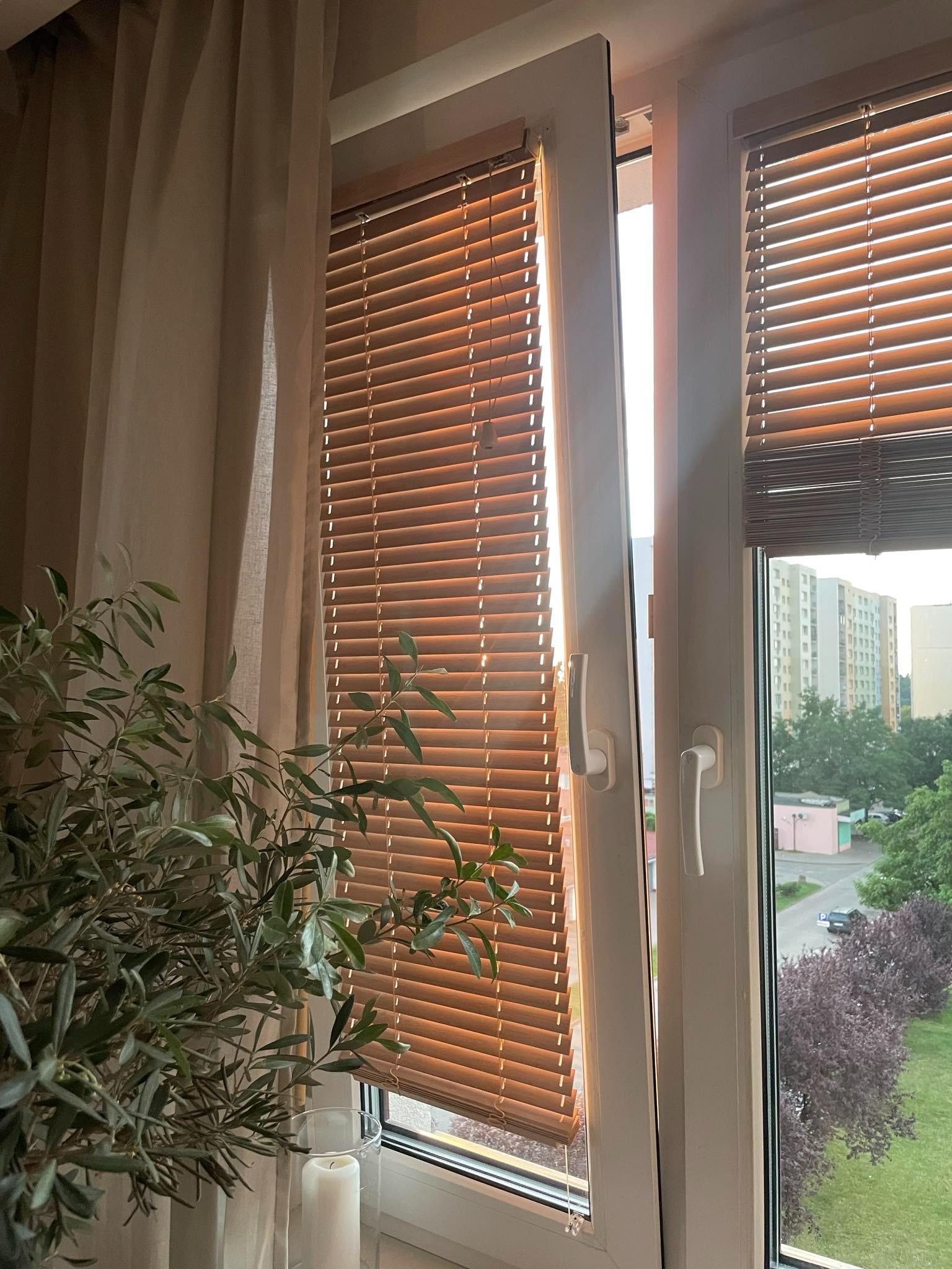 Drewniane żaluzje poziome w oknie z widokiem na zieleń miejską, obok zasłona i roślina doniczkowa, tworzące przytulne wnętrze.