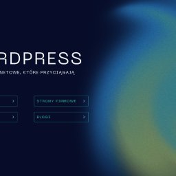 Tworzenie stron internetowych Biała Podlaska 1