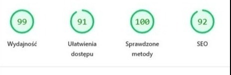 Szybkie ładowanie (ocena Google PageSpeed min. 90/100)