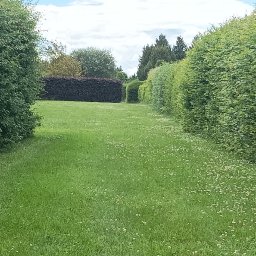 Larix - Twój Ogród NIP 899 107 57 75 - Trawa z Rolki Wrocław