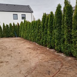 Larix - Twój Ogród NIP 899 107 57 75 - Posiadamy własny materiał szkółkarski
