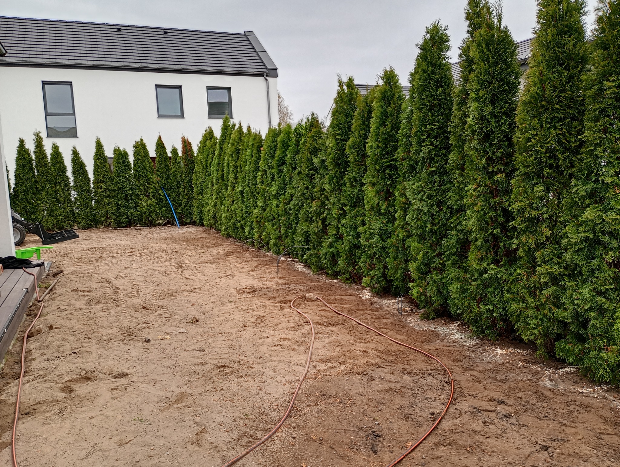 Posiadamy własny materiał szkółkarski