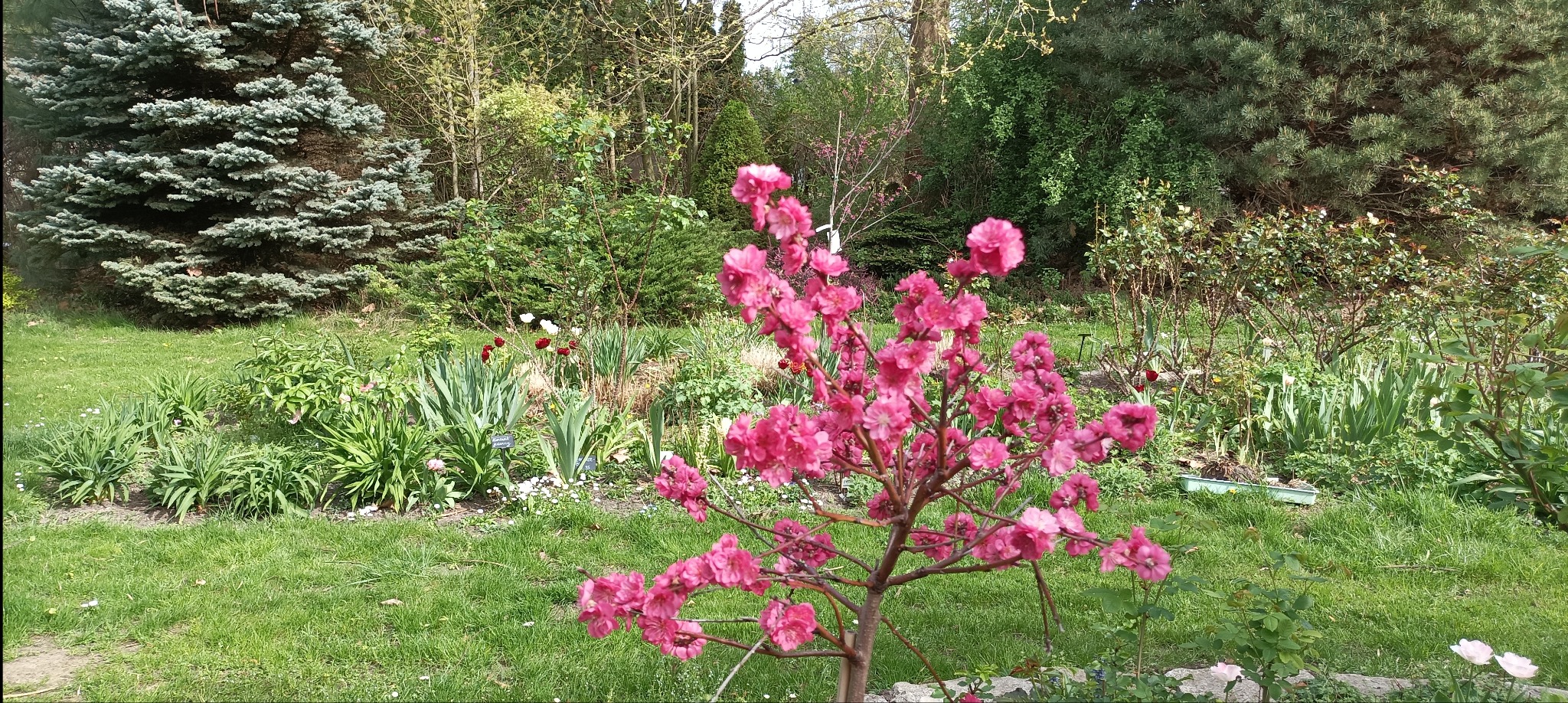 Wykonujemy projekty i realizujemy ogrody w każdym stylu.