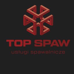 MATEUSZ GRZYB TOP-SPAW - Bramy Wjazdowe Chęciny