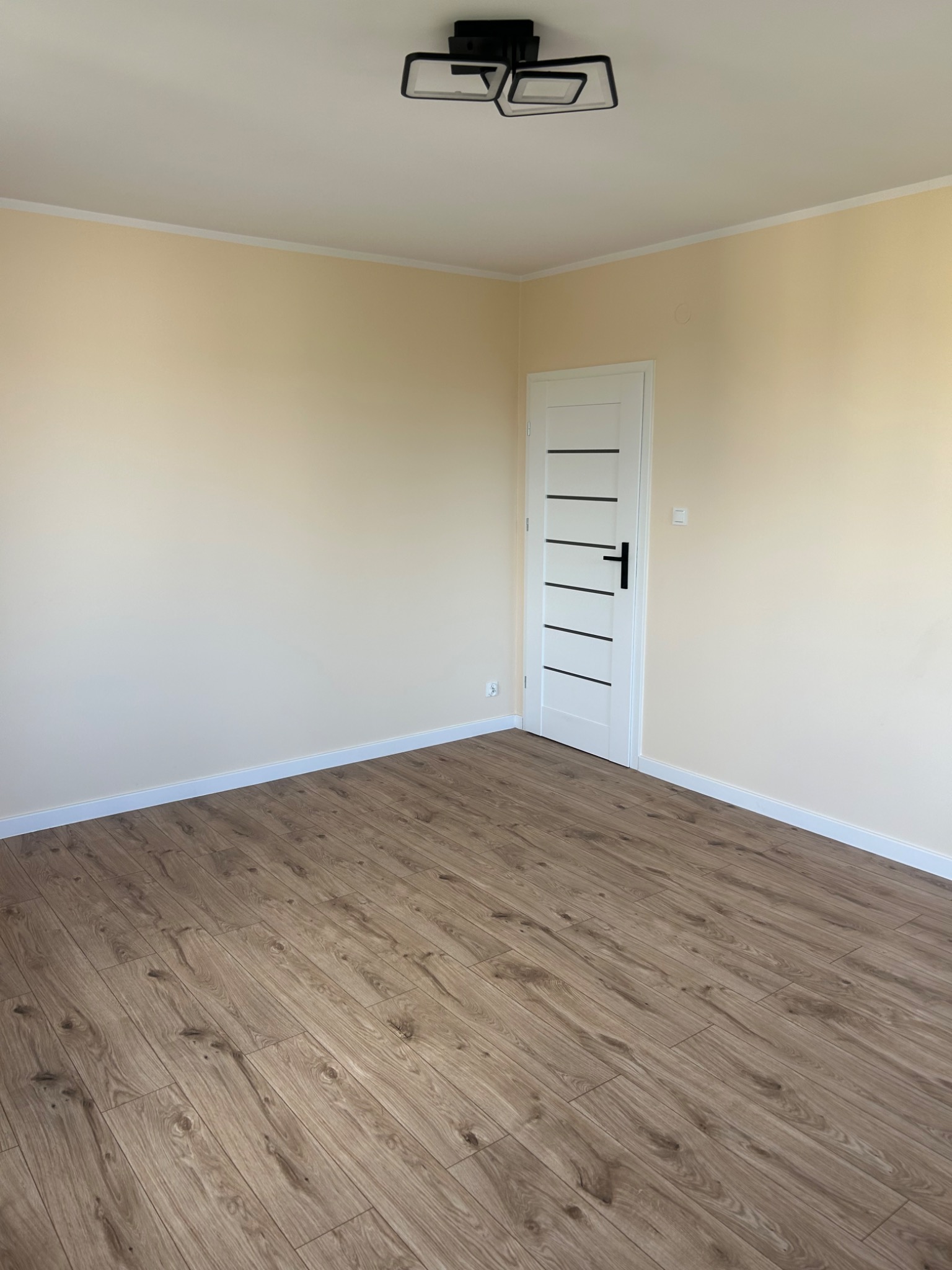 Jasne, puste wnętrze z drewnianą podłogą, białymi listwami przypodłogowymi i drzwiami z czarnymi akcentami, oświetlone nowoczesną lampą sufitową.