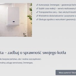 wykonana strona dla autoryzowanego serwisu IMMERGAS