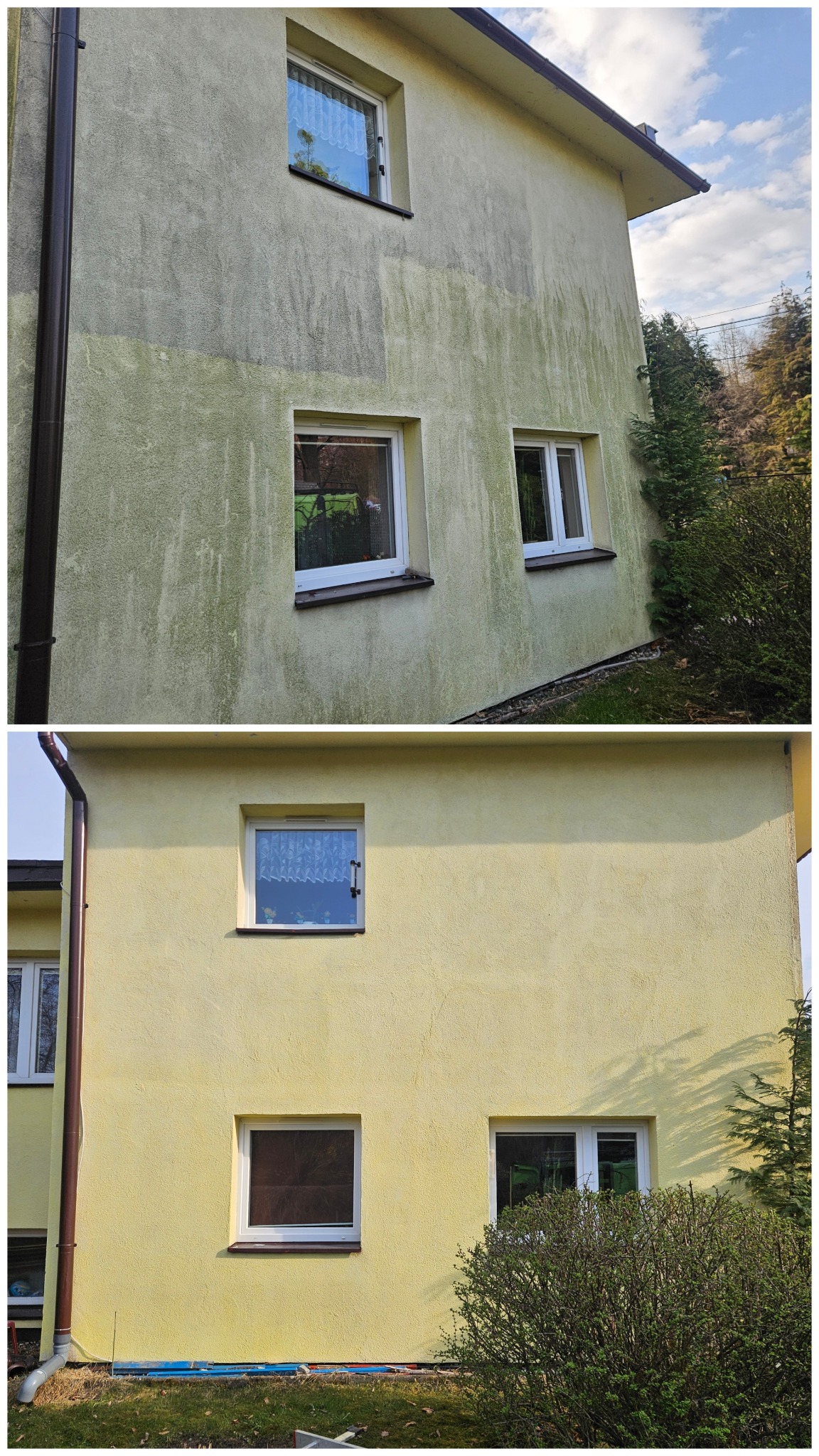 Elewacja budynku w Skoczowie, prezentująca efekt przed i po zabiegu. Górna część ściany pokryta zielonym nalotem, dolna - czysta, w odcieniu jasnej żółci.