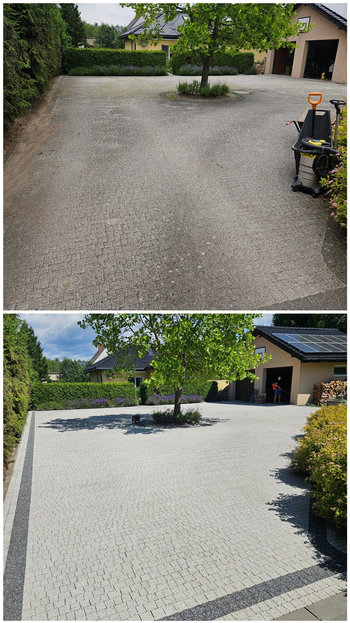 Zdjęcie 'przed i po' mycia kostki brukowej na posesji z drzewem pośrodku. Po lewej stronie widoczny sprzęt do czyszczenia. Efekt czyszczenia jest wyraźnie widoczny.