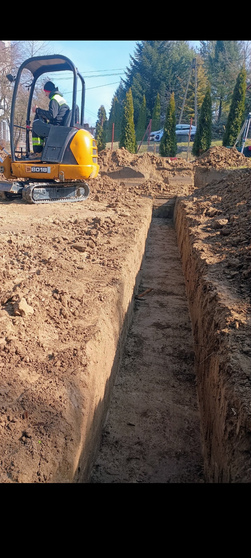 Żółta mini koparka JCB 8018 kopie wąski wykop w ziemi, prawdopodobnie pod fundament. W tle rząd tuj i częściowo widoczny samochód.