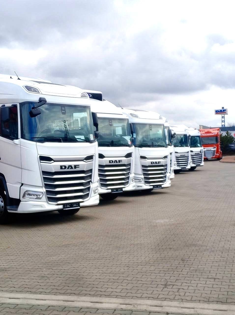 Flota białych ciężarówek DAF ustawiona w rzędzie na brukowanym placu, z jednym czerwonym pojazdem na końcu i logo DAF w tle. Pochmurne niebo.
